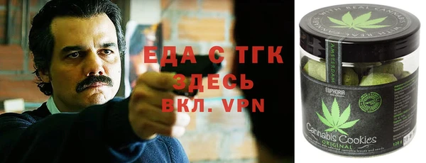 СК Алексин