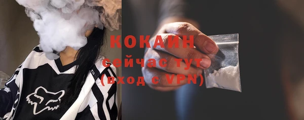 СК Алексин