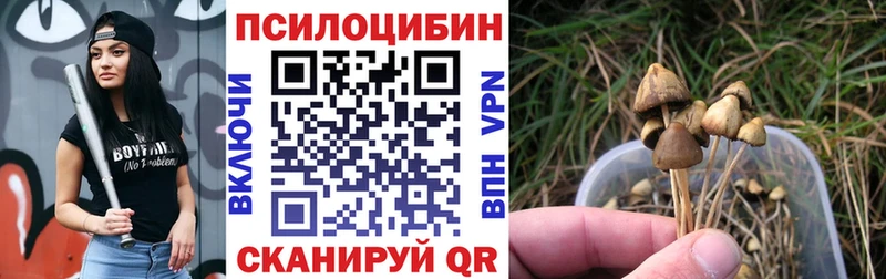 blacksprut вход  Бабушкин  Псилоцибиновые грибы ЛСД 