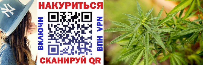 Бошки Шишки марихуана  купить наркотик  Бабушкин 